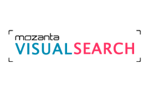 Mozanta Visual Search - Monthly