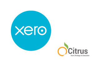 Xero-Accounting software - Per Annum