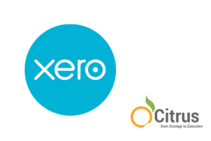Xero-Accounting software - Per Annum